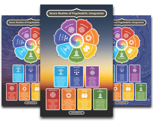 Seven Realms Wall Poster 11 x 17