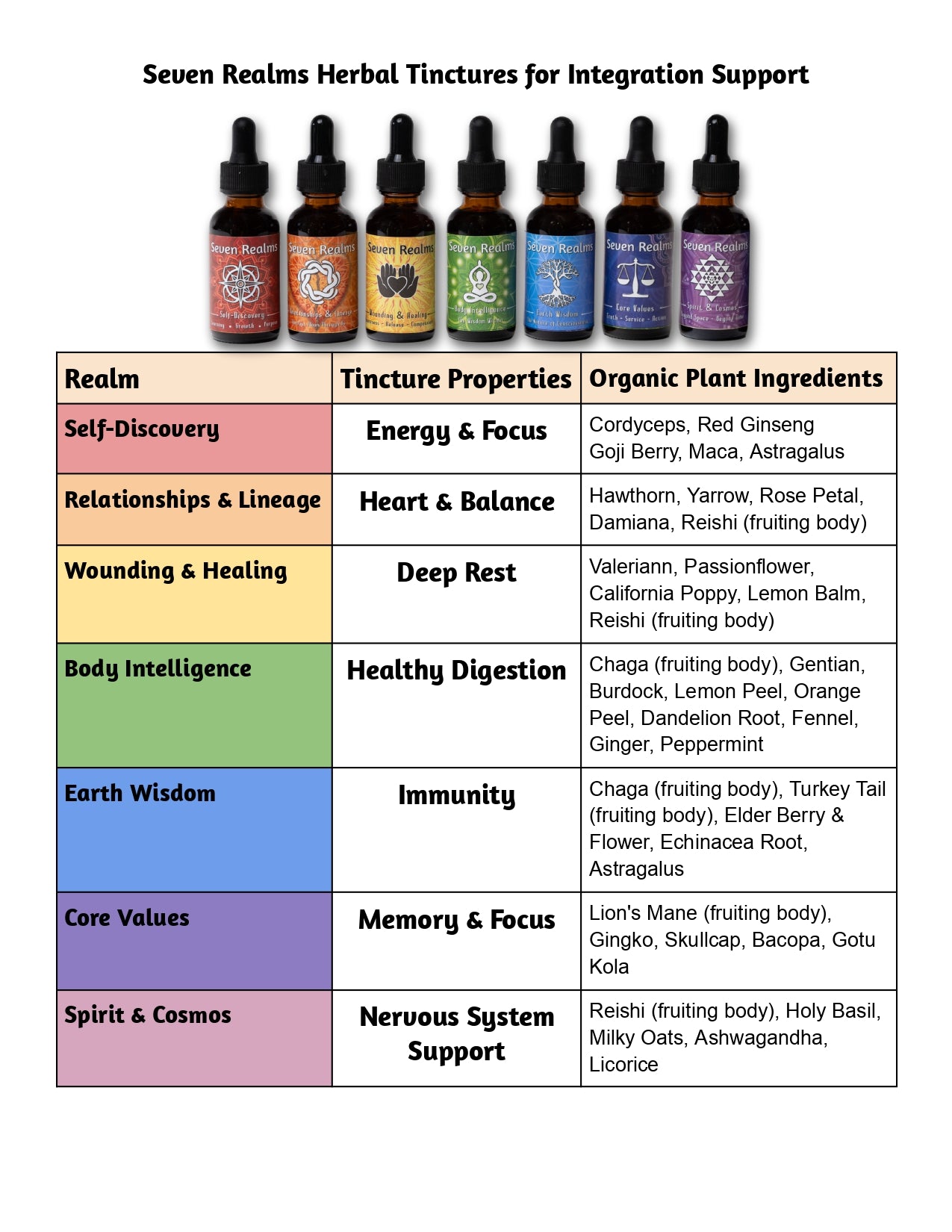 Seven Realms Herbal Apothecary Set (7)